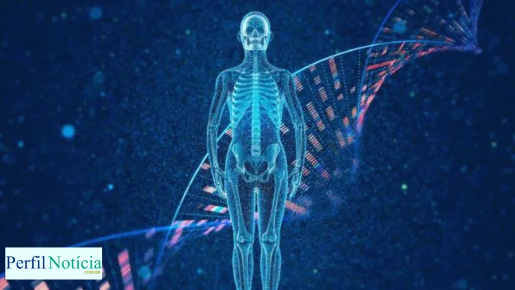 Prêmio Nobel 2024 vai para pesquisadores de microRNA